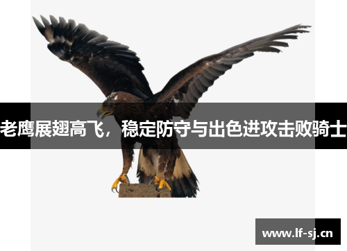 老鹰展翅高飞，稳定防守与出色进攻击败骑士