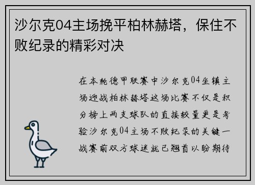 沙尔克04主场挽平柏林赫塔，保住不败纪录的精彩对决