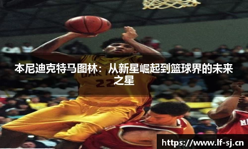 cc网投公司