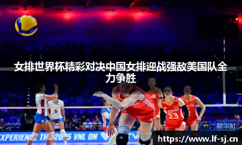 cc网投平台