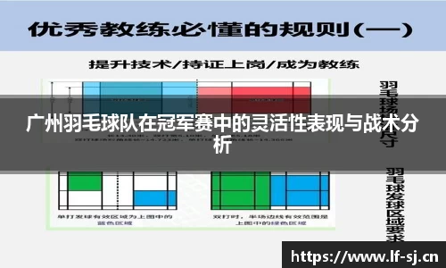 cc网投官网